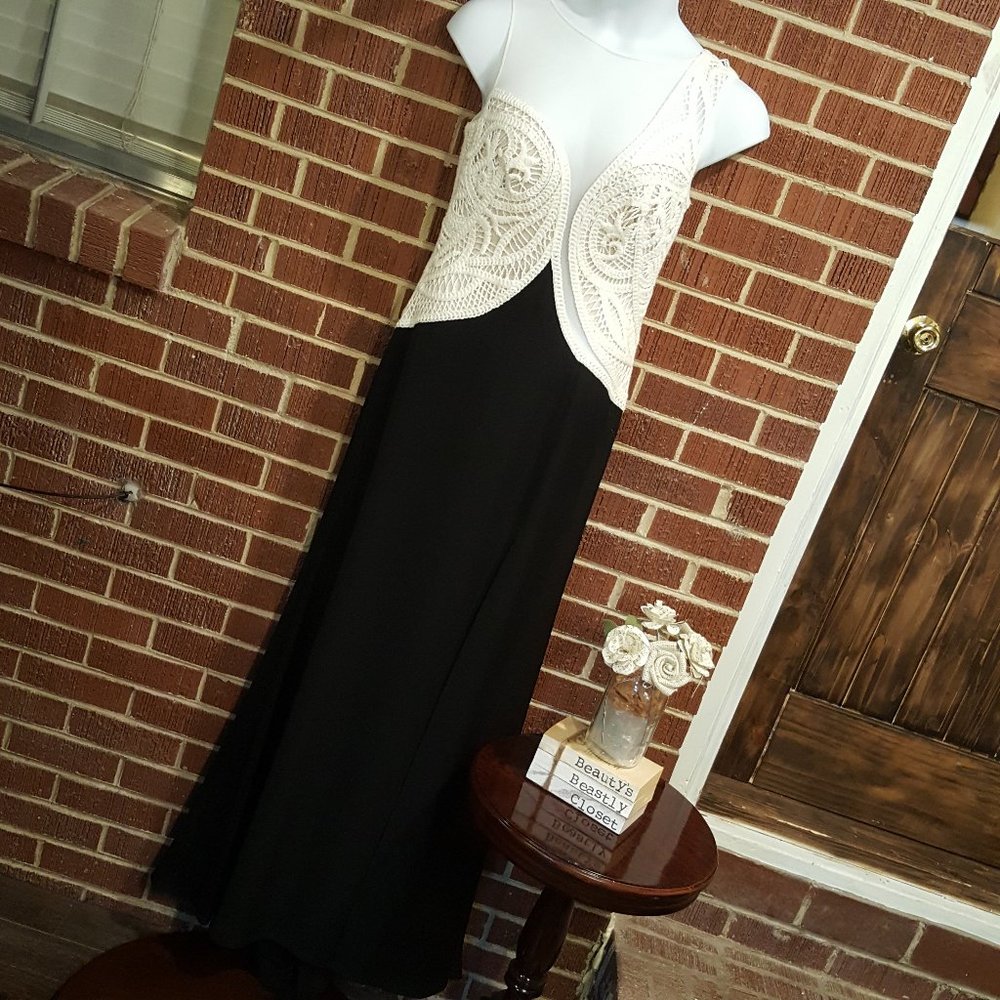 Tadashi Shoji Cruz Crochet Crepe Mesh Gown Dress